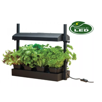 Micro Grow Light Garden daigykla 8W Juoda